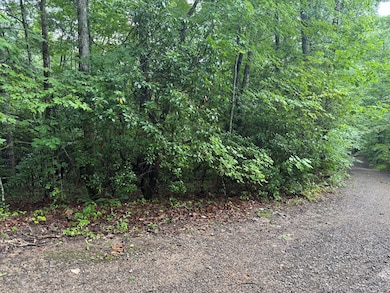 Lot 19 Cedar Hill Rd, Franklin, NC 28734 - photo 2