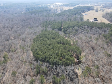 1430 Cleveland Farms Rd, Locust Grove, GA 30248 - photo 6