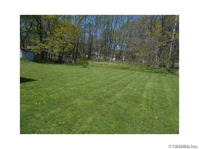 Backyard.