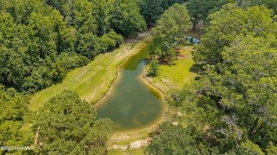 Pond View