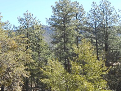 Rim View