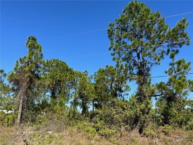 0 54th Ave NE unit 225080151, Naples, FL 34120 - photo 6