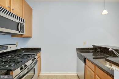 Halstead at The Metro unit 241, Fairfax, VA 22031 - photo 6