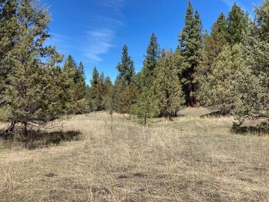 0 Nans Rock Rd unit 220121943, Mount Vernon, OR 97865 - photo 2
