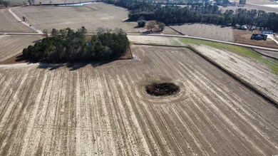 TBD Shelley Ln, Nichols, SC 29581 - photo 4