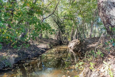 380 An County Road 370, Palestine, TX 75801 - photo 5