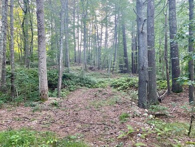 148 Webster St, East Douglas, MA 01516 - photo 7