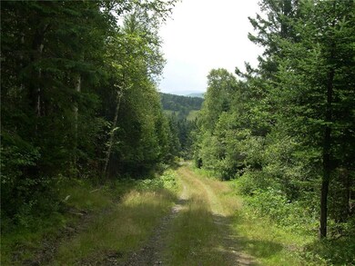 looking down the Tilt of Kilt Road