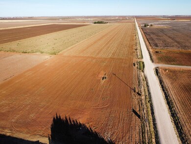 6655 Tiger Rd, Ropesville, TX 79358 - photo 5