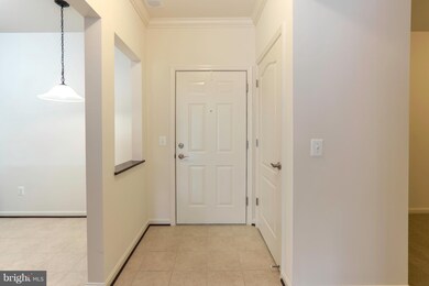 8611 Wintergreen Ct unit 304, Odenton, MD 21113 - photo 2