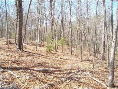 68 Beaten Path Third