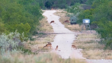 000 Ranch To Market 3008, Brackettville, TX 78832 - photo 3