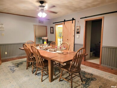 413 N Mclean St, Lincoln, IL 62656 - photo 4