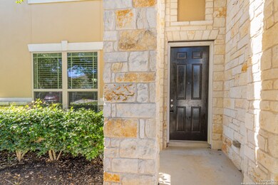 3742 Ox-Eye Daisy, San Antonio, TX 78261 - photo 5