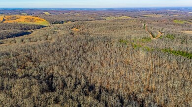 DJI_20241203090751_0350_D