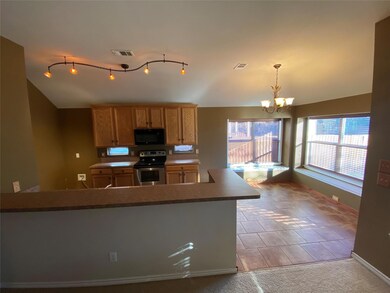 3517 Paint Dr, Denton, TX 76210 - photo 4