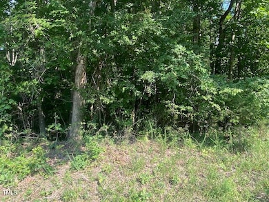 image1 (1)