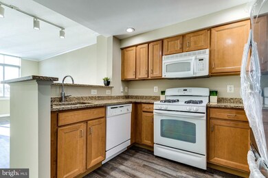 Elan East Market Condominiums unit 613, Fairfax, VA 22033 - photo 6