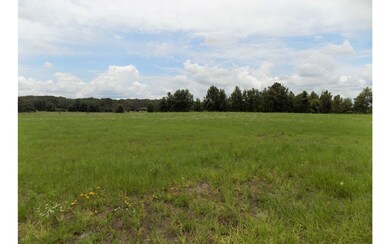 LOT11 High Pointe Farms, Lake City, FL 32055 - photo 4