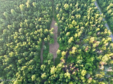 0 John I Hay Rd, Wesson, MS 39191 - photo 5