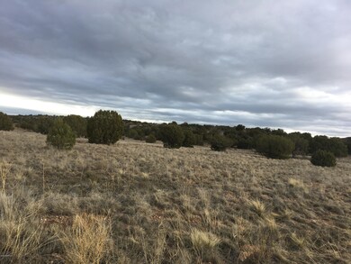 1850 E Aiken Ranch Rd, Paulden, AZ 86334 - photo 3