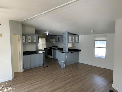 6227 N Litchfield Rd unit 36, Litchfield Park, AZ 85340 - photo 3