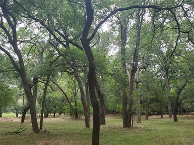 000 Horseshoe Bend Ct, Weatherford, TX 76087 - photo 3