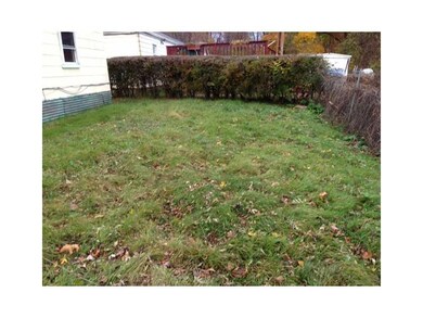 Yard/Garden.