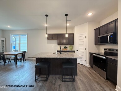 65 Goldenrod Loop, Clayton, NC 27527 - photo 4