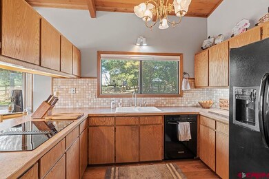 35 Elm Ct, Durango, CO 81301 - photo 6