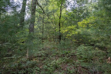 W8878 Cranberry Creek, New Lisbon, WI 53950 - photo 7