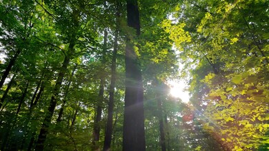 Lot 9 Tower Rd, Crandon, WI 54520 - photo 5