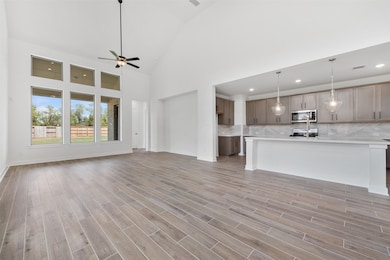 27146 Coneflower Daisy Way, Hockley, TX 77447 - photo 7