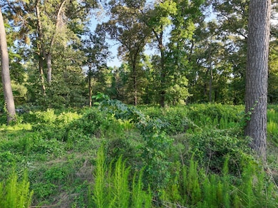 Ground view inside the property highlighting natur