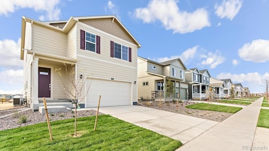 1073 Brink St, Brighton, CO 80603 - photo 3