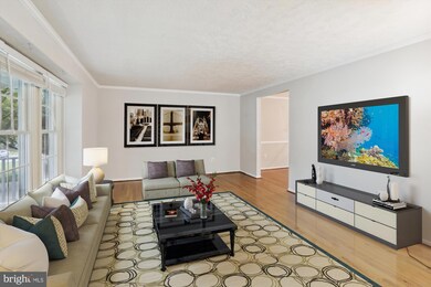 1125 Windmill Ln, Silver Spring, MD 20905 - photo 4