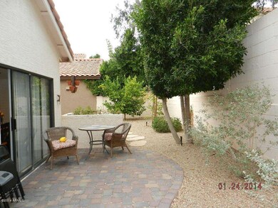 31-backyard