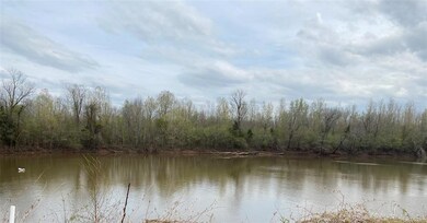View from back yard