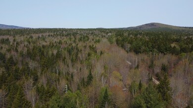 DJI_0060