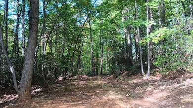 0 Oakcrest Ln unit 363097, Rockfish, VA 22958 - photo 5