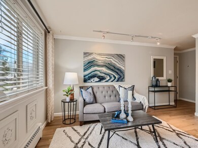 NEW Luxury Vinyl Plank Hardwoods & paint!