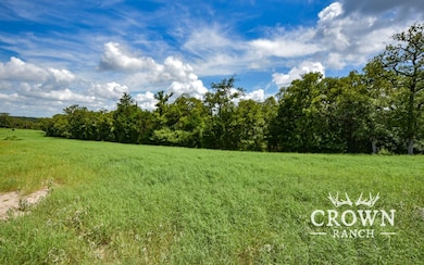 Tbd Fm 908 (+ -1 unit 57 acres, Caldwell, TX 77836 - photo 3