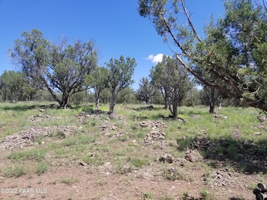 1550 W Joseph Dr, Ash Fork, AZ 86320 - photo 7