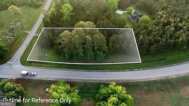 Sandtown Road Unit: 1 2+ - Acre, West Point, GA 31833 - photo 2