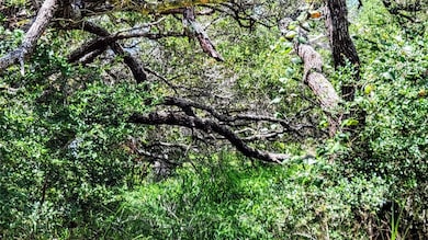 0 Proposed Hwy 35 unit 461368, Rockport, TX 78382 - photo 4