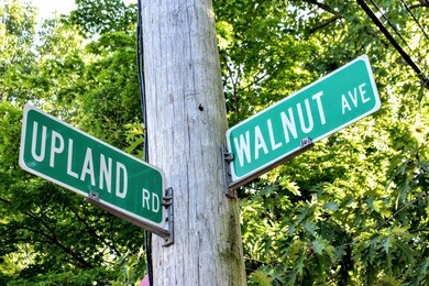 100 Upland Rd unit 100, Cambridge, MA 02140 - photo 3