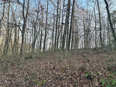 Lot 15 Hensley Rd, East Bernstadt, KY 40729 - photo 7