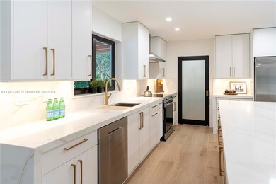 Quartzite countertops and backsplash