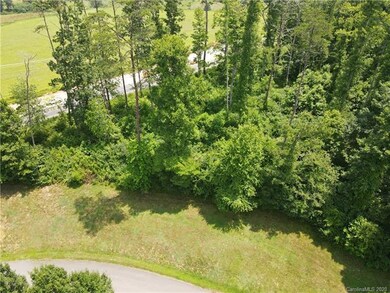 99999 Mountain Shadows Dr, Leicester, NC 28748 - photo 3