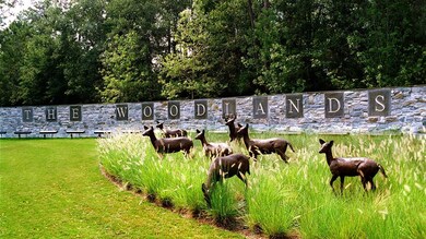 97 Cedar Hammock Trail, the Woodlands, TX 77375 - photo 3